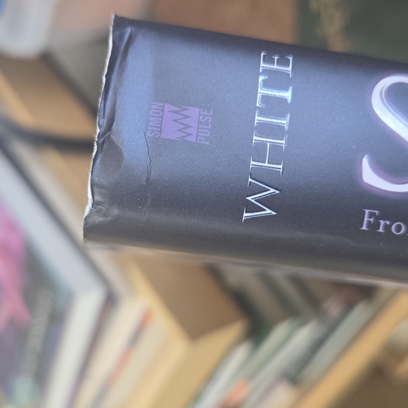 Slayer Hardback Kiersten White - Picture 4 of 4